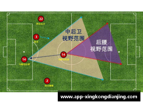 足球星卡普通卡的魅力与收藏价值深度探讨与分析